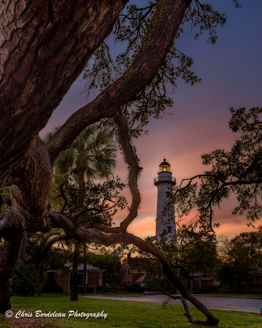 Through the boughs of a great oak Saint Simons Lighthouses stands against a twilight sunrise.